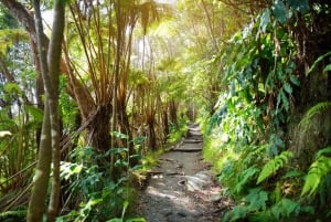 Ilha Grande: Explore um vulcão ativo em uma caminhada guiada