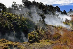 Big Island : Explorez un volcan actif lors d'une randonnée guidée