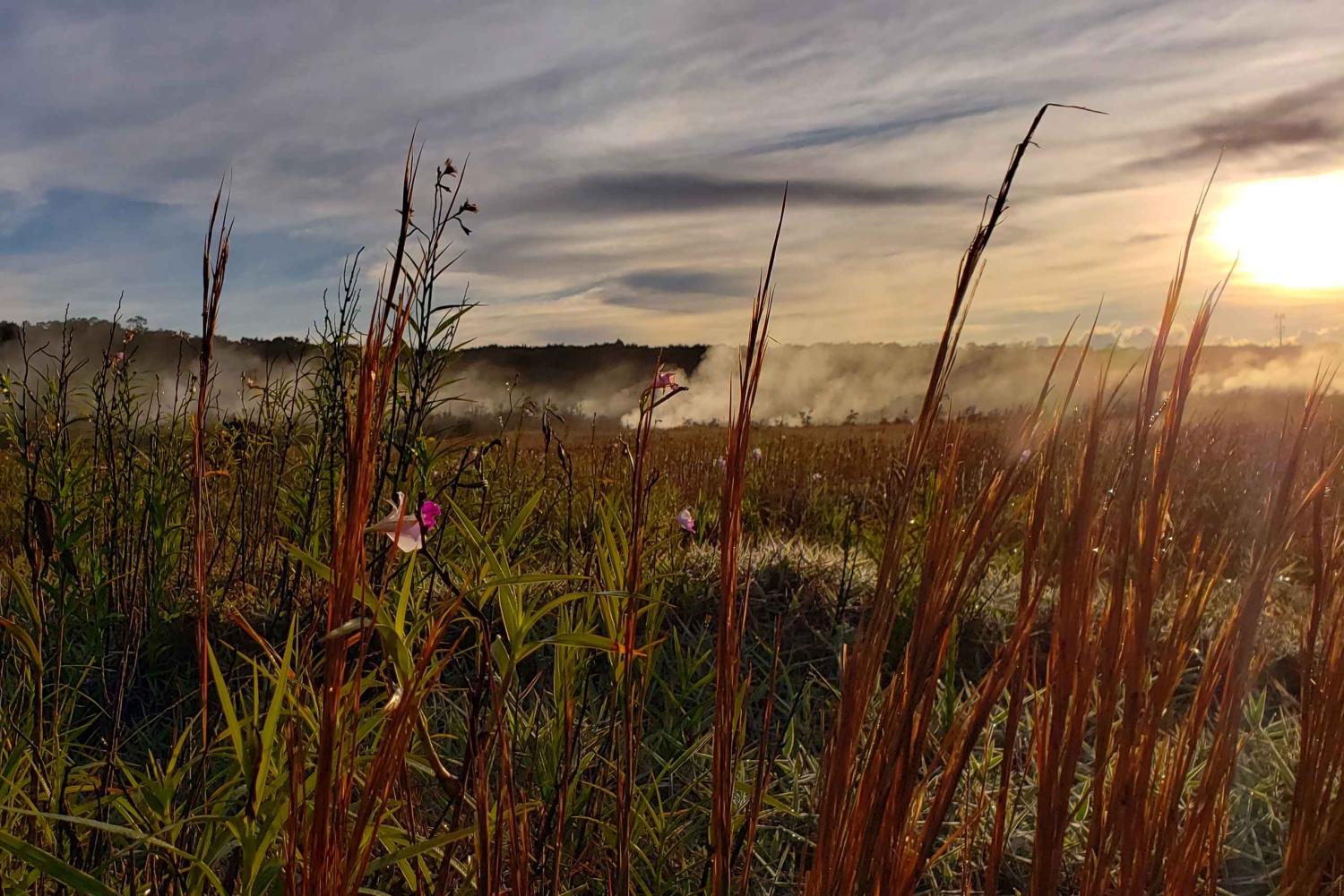 Iso saari: Iso Island: Volcanoes National Park Yksityinen kiertoajelu