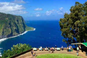 Big Island: Volcanoes, Waterfalls, & Coffee Farm Day-Trip