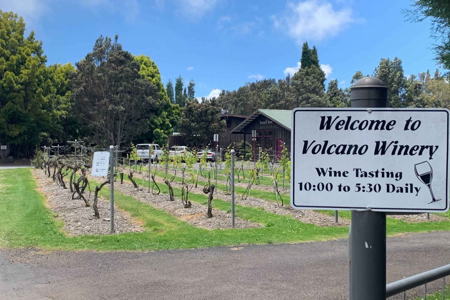 Big Island: Volcanoes & Winery Tour with Breakfast & Lunch