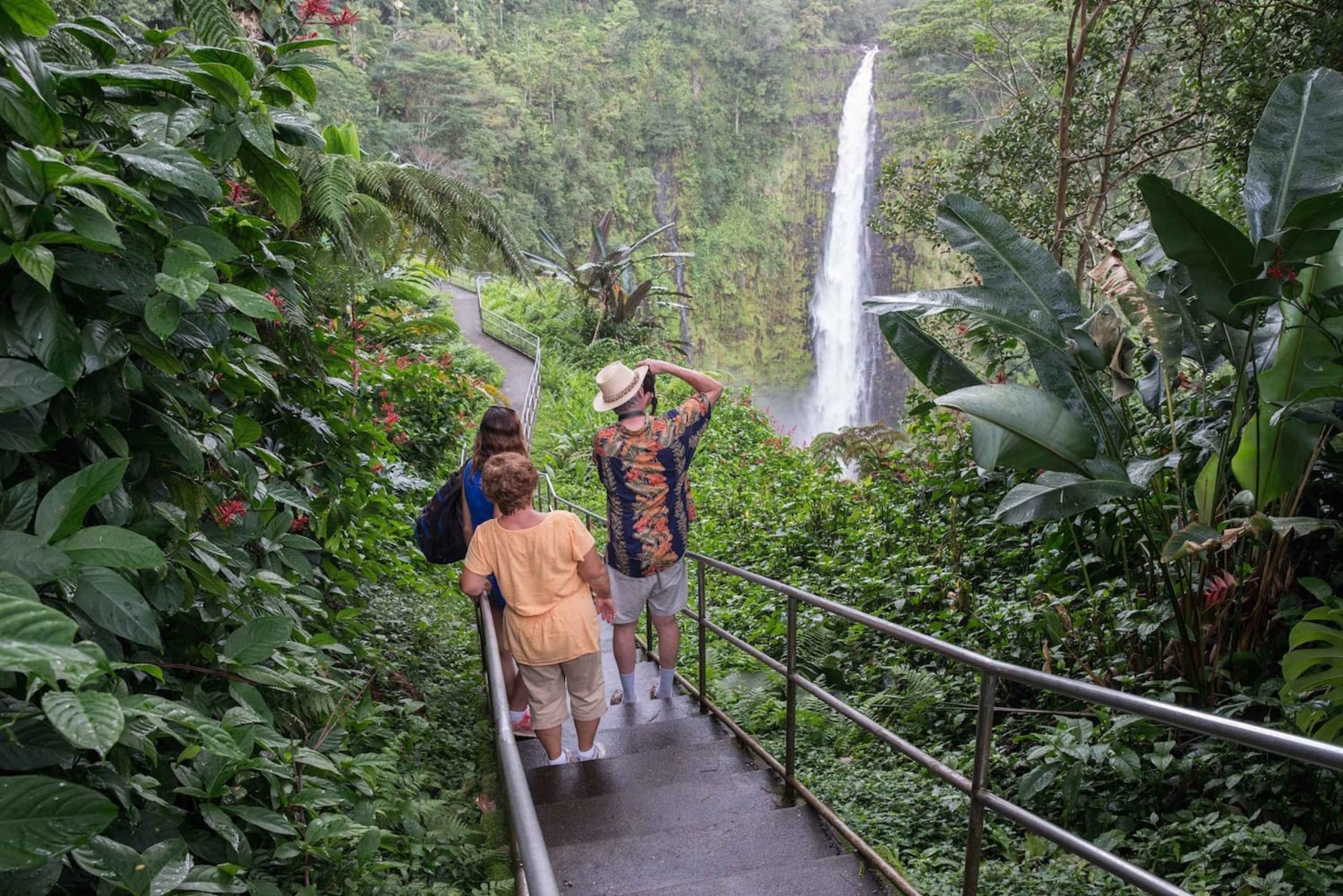 Big Island: Wasserfall-Tour mit Schwimmen und Botanischer Garten