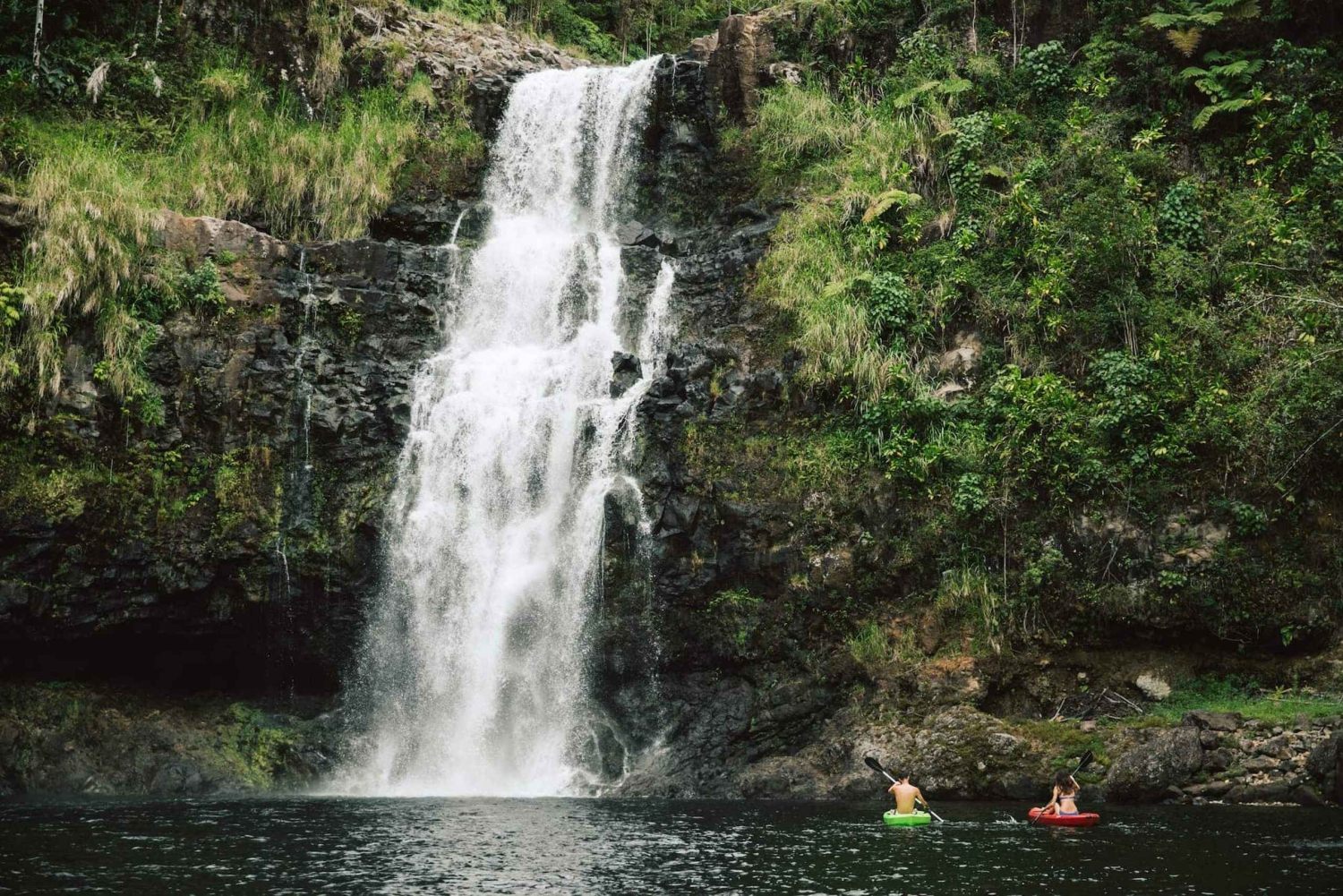 Big Island: Wasserfall-Tour mit Schwimmen und Botanischer Garten