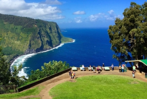 Big Island: Wasserfall-Tour mit Schwimmen und Botanischer Garten