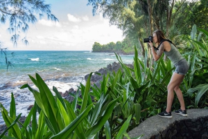 Big Island: Wasserfall-Tour mit Schwimmen und Botanischer Garten