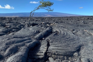 Big Island: Wasserfall-Tour mit Schwimmen und Botanischer Garten