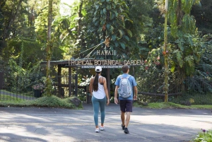 Big Island: Wasserfall-Tour mit Schwimmen und Botanischer Garten