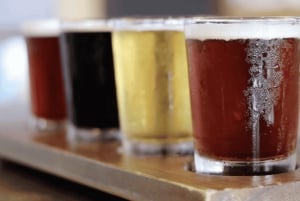 Cruzeiro pela cervejaria e praia num autocarro VW vintage