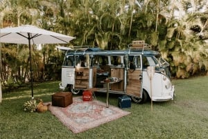 Cruzeiro pela cervejaria e praia num autocarro VW vintage
