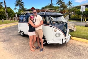 Cruzeiro pela cervejaria e praia num autocarro VW vintage