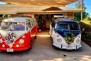 Cruzeiro pela cervejaria e praia num autocarro VW vintage