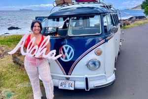 Cruzeiro pela cervejaria e praia num autocarro VW vintage