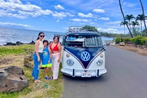 Cruzeiro pela cervejaria e praia num autocarro VW vintage