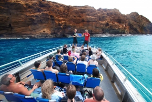 Maui: Captain's Call iltapäivällä snorkkeliseikkailu