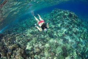 Maui: Avventura pomeridiana di snorkeling con il Captain's Call