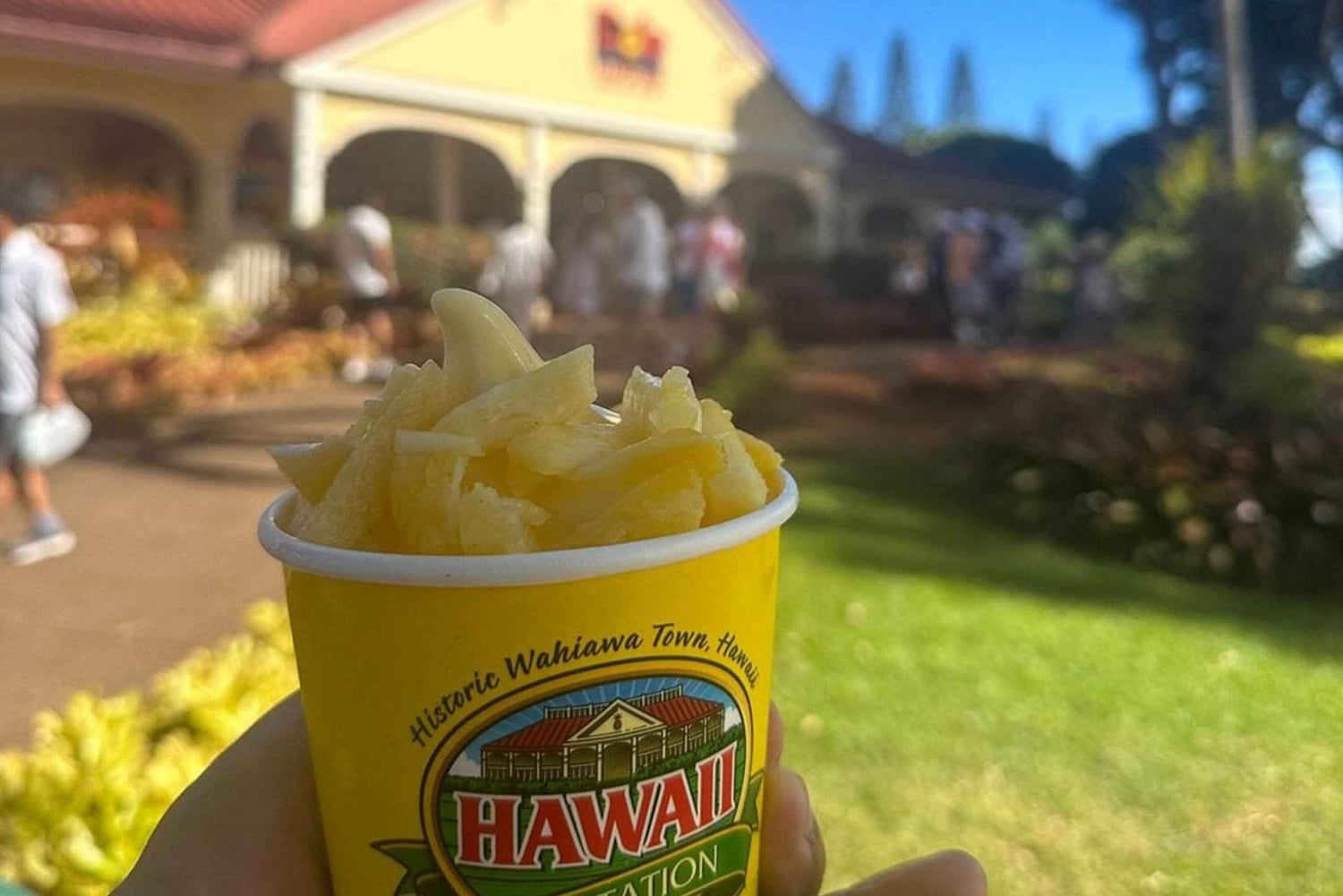Circle Island: Svøm med skildpadder og udforsk paradisiske Oahu