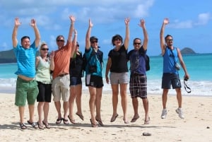 Circle Island: Svøm med skildpadder og udforsk paradisiske Oahu