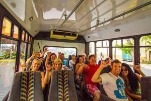 Circle Island: Svøm med skildpadder og udforsk paradisiske Oahu