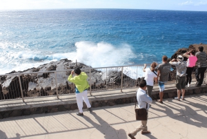 Circle Island: Svøm med skildpadder og udforsk paradisiske Oahu