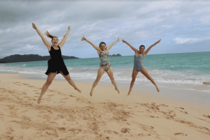 Circle Island: Svøm med skildpadder og udforsk paradisiske Oahu