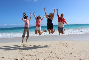 Circle Island: Svøm med skildpadder og udforsk paradisiske Oahu