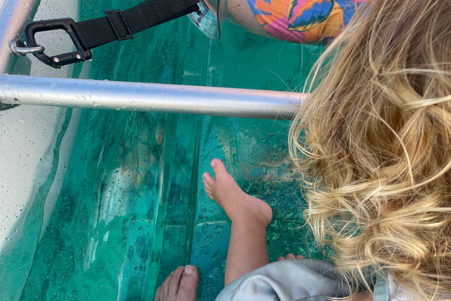 Clear Bottom Glassy Kajakudlejning | Sikre og stabile kajakker