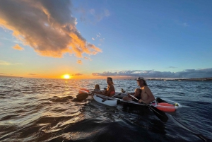 Clear Bottom Glassy Kayak Rental | Safe and Stable Kayaks