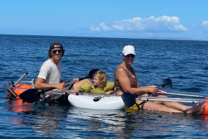 Clear Bottom Glassy Kayak Rental | Safe and Stable Kayaks