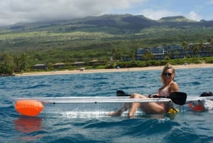 Clear Bottom Glassy Kayak Rental | Safe and Stable Kayaks