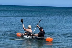 Clear Bottom Glassy Kayak Rental | Safe and Stable Kayaks