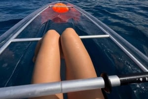 Clear Bottom Glassy Kayak Rental | Safe and Stable Kayaks