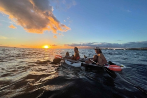 Clear Bottom Glassy Kajakudlejning | Sikre og stabile kajakker