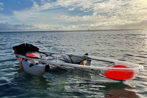 Clear Bottom Glassy Kajakudlejning | Sikre og stabile kajakker