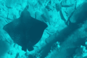 Clear Bottom Glassy Kajakudlejning | Sikre og stabile kajakker