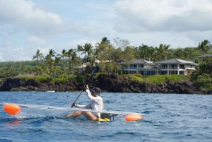 Clear Bottom Glassy Kajakudlejning | Sikre og stabile kajakker