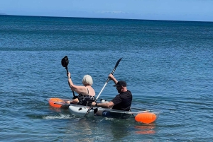 Clear Bottom Glassy Kajakudlejning | Sikre og stabile kajakker