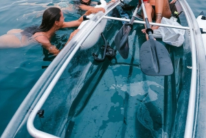 Clear Bottom Glassy Kajakudlejning | Sikre og stabile kajakker