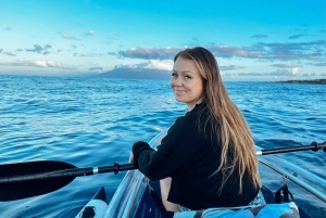 Clear Bottom Glassy Kajakudlejning | Sikre og stabile kajakker