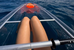 Clear Bottom Glassy Kajakudlejning | Sikre og stabile kajakker