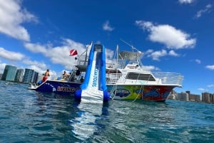 Honolulu: Crociera deluxe Waikiki con snorkeling e fauna selvatica