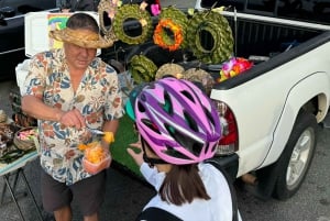 Diamond Head E-Bike to Hike