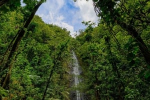 Diamond Head Manoa watervallen