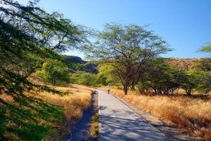 Diamond Head Manoa vattenfall