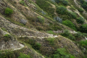 Diamond Head Manoa vattenfall