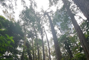 Diamond Head Manoa vattenfall