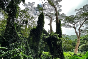 Diamond Head Manoa vattenfall
