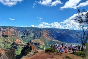 Kauai-dagtour: Kalalau, Waimea, Poipu, cruise of luchthaven PU