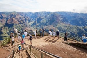 Kauai-dagtour: Kalalau, Waimea, Poipu, cruise of luchthaven PU