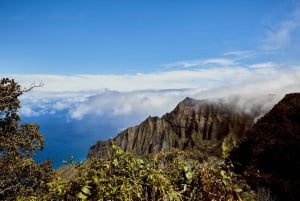 Kauai-dagtour: Kalalau, Waimea, Poipu, cruise of luchthaven PU