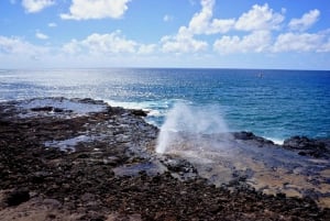 Kauai-dagtour: Kalalau, Waimea, Poipu, cruise of luchthaven PU